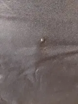 A***q review photo