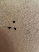 G***A review photo