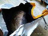 G***g review photo