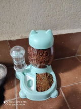P***A review photo