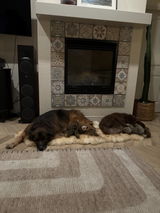 Etsy customer review photo