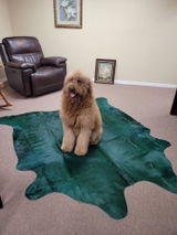 Etsy customer review photo