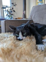 Etsy customer review photo