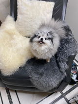 Etsy customer review photo
