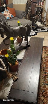 Etsy customer review photo