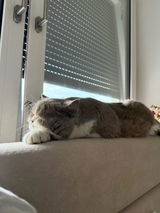 Dorothee S. review photo