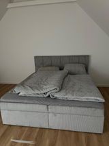 Tomke review photo