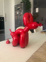 6***r review photo