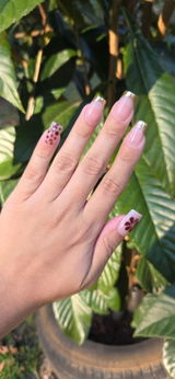 Evangelina review photo