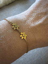Laura Coll Martori review photo
