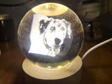 carlos gomez review photo
