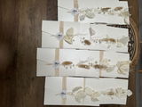 Laura K. review photo