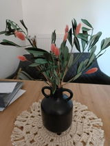 Sina B. review photo