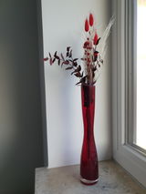 Verena review photo