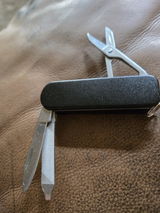Ted Dawson review photo