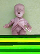Tracy S. review photo
