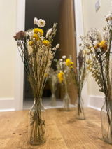 Daisy Howes review photo