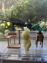 Solla review photo