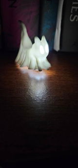 Etsy customer review photo