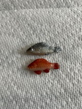 MJD review photo