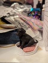 Jessica Stone review photo