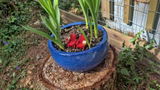 Etsy customer review photo