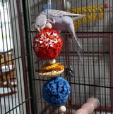 V. review photo
