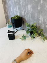 Sorn dany review photo