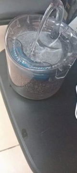 S***e review photo