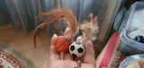 Acheteur review photo