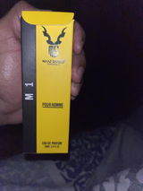 Maaz Safder Fragrance