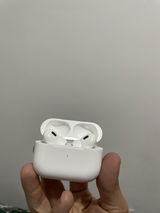 Darwin review photo