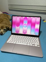 Jeimmy review photo