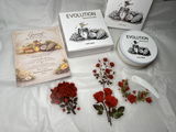 Dianelis Alonso review photo