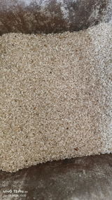Kehari prasad review photo