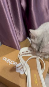 Aliah Q. review photo
