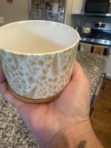Stacey Livers review photo