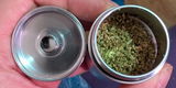 Icebox review photo