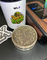 Steele D. review photo