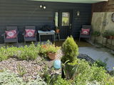 Oasis Medium Green
