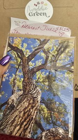 Jodie Quintero review photo
