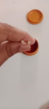 Kala Rajaraman review photo