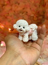 paisley_little review photo
