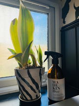 Peridot Eco Clean review photo