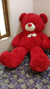 Kartik review photo