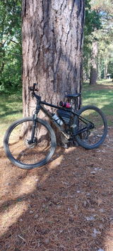 Andrew McLeod review photo