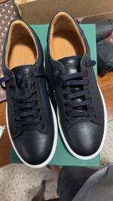 Pasquale Ariniello review photo