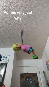 Noodlez review photo