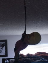 Noodlez review photo