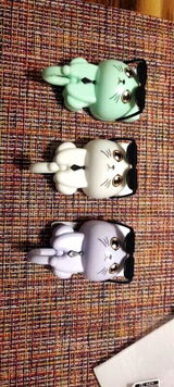 Carmine Lopes review photo